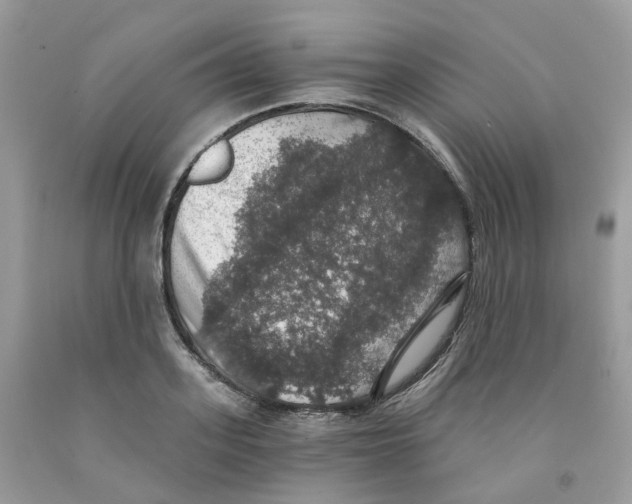 X0000091550939200709141513