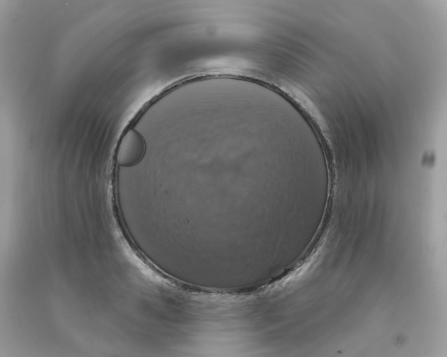 X0000091550941200709141513