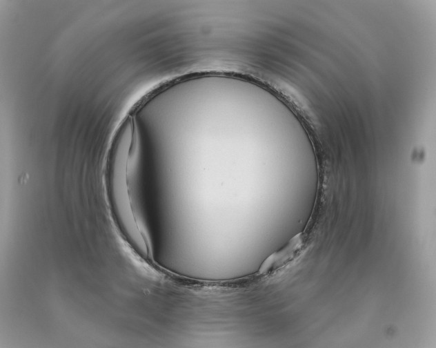 X0000091550942200709141513