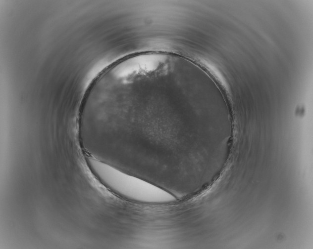 X0000091550944200709141513