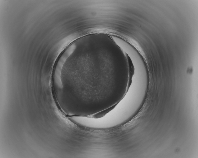 X0000091550946200709141513