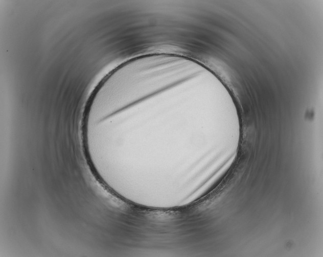 X0000091550947200709141513