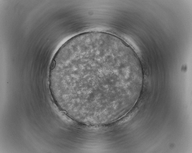 X0000091550948200709141513