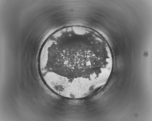 X0000091550949200709141513