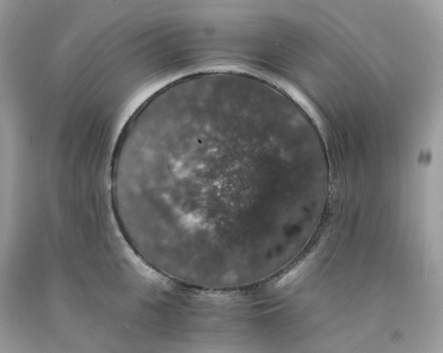 X0000091550951200709141513