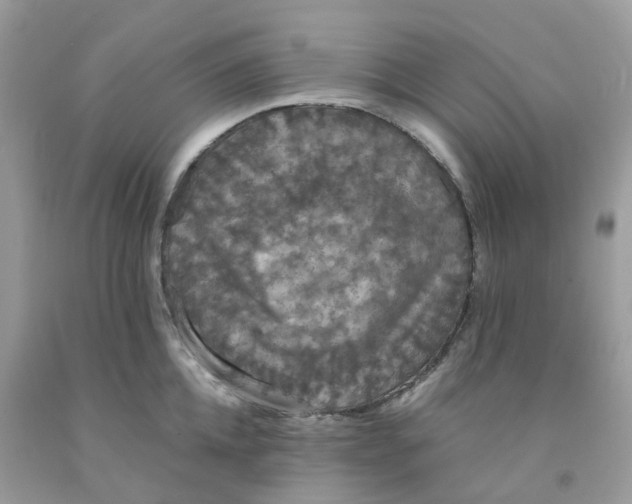 X0000091550952200709141513