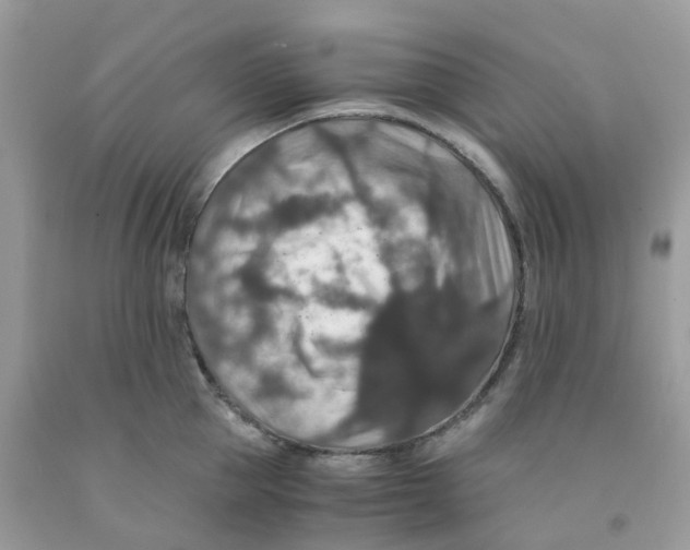 X0000091550953200709141513