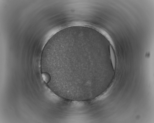 X0000091550954200709141513