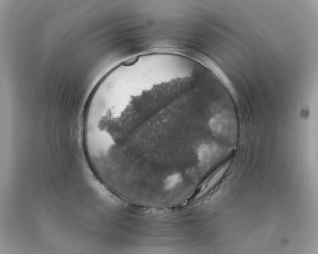 X0000091550955200709141513