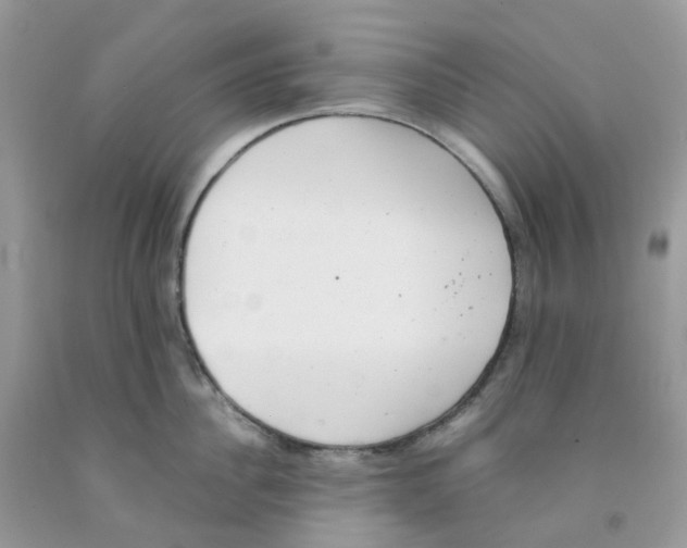 X0000091550956200709141513