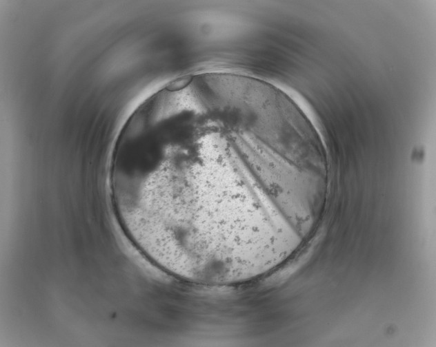 X0000091550957200709141513