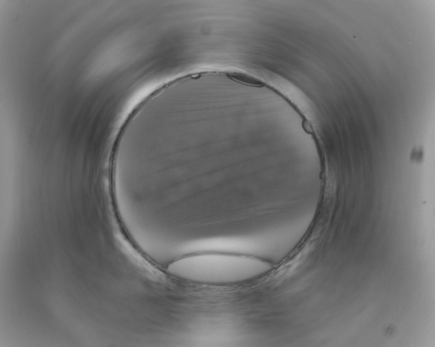 X0000091550958200709141513