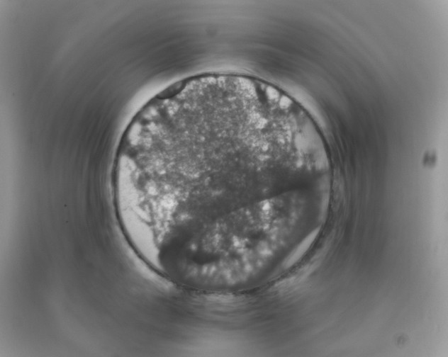 X0000091550959200709141513