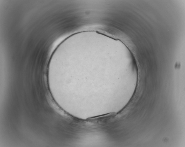 X0000091550960200709141513