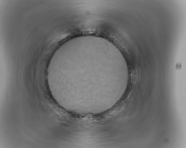 X0000091550961200709141512