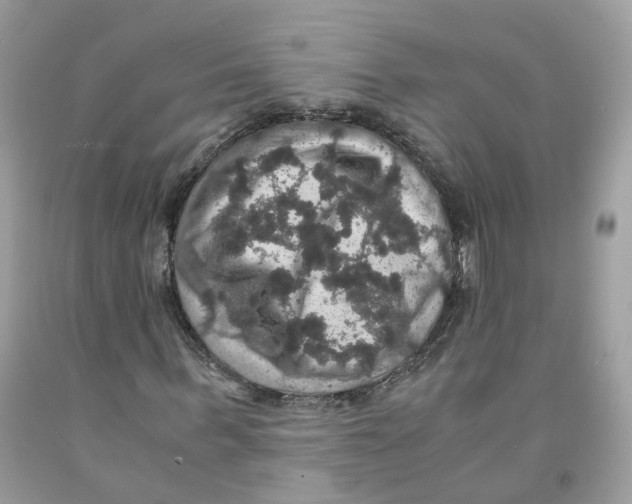 X0000091550963200709141512