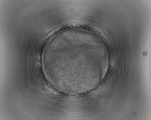 X0000091550964200709141512