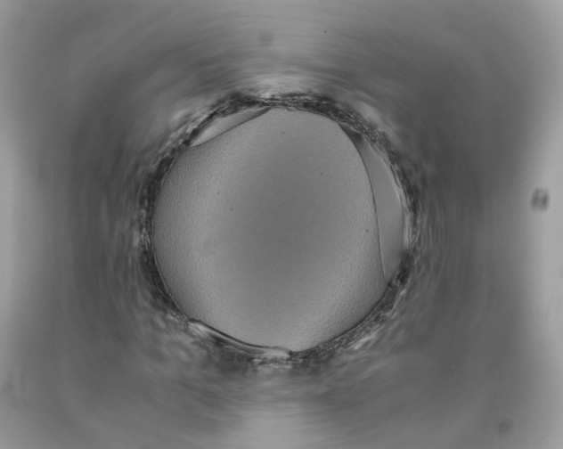 X0000091550965200709141512