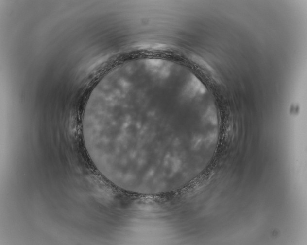 X0000091550966200709141512