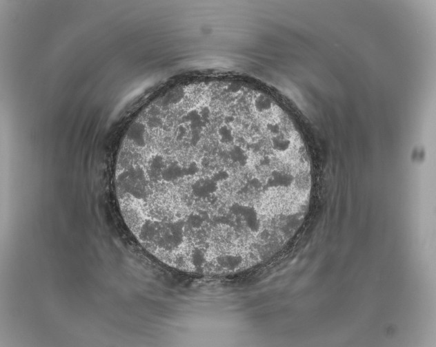 X0000091550967200709141512