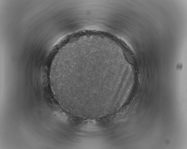 X0000091550968200709141512