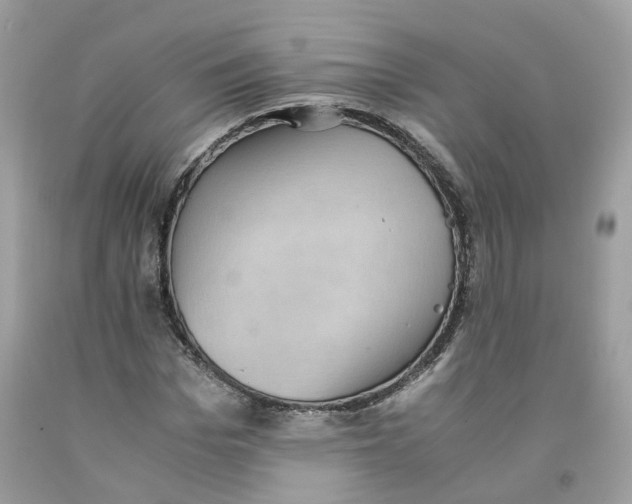 X0000091550969200709141512