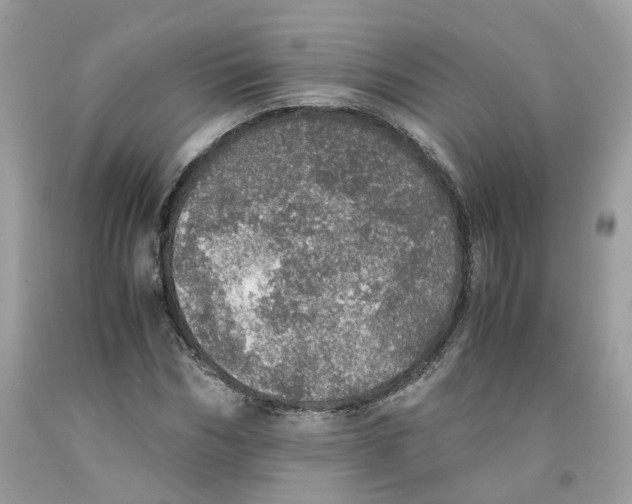 X0000091550970200709141512