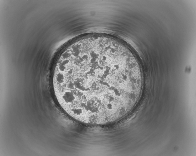 X0000091550971200709141512