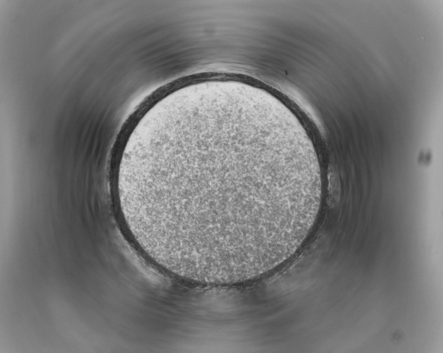 X0000091550972200709141512