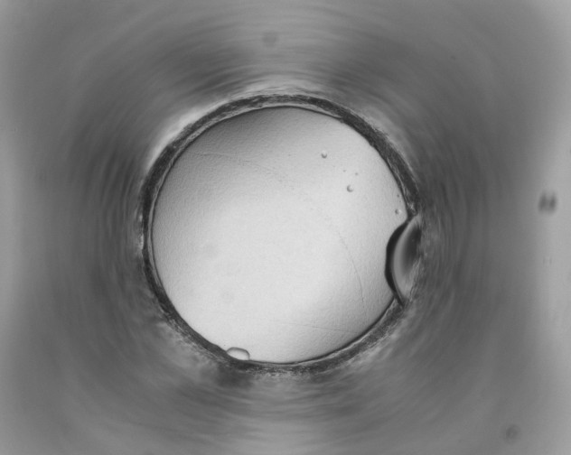 X0000091550973200709141512