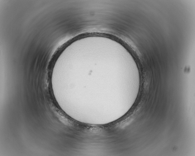 X0000091550974200709141512