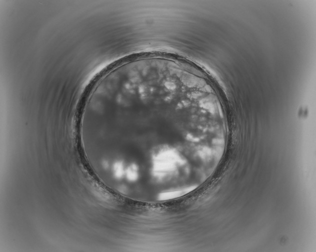 X0000091550975200709141512