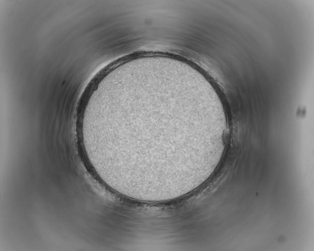 X0000091550976200709141512