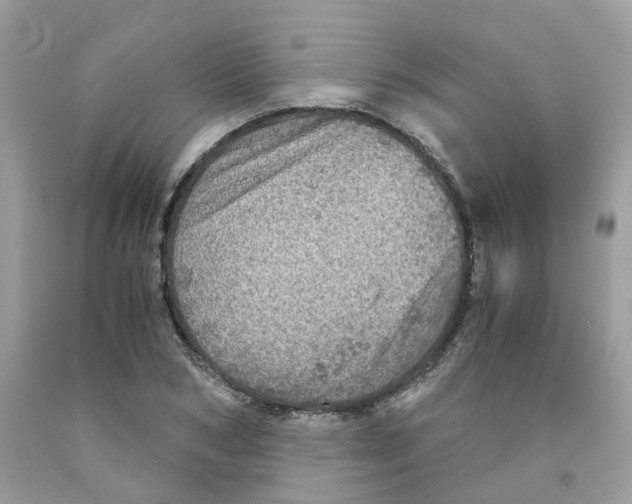 X0000091550978200709141512