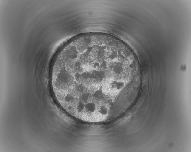 X0000091550979200709141512