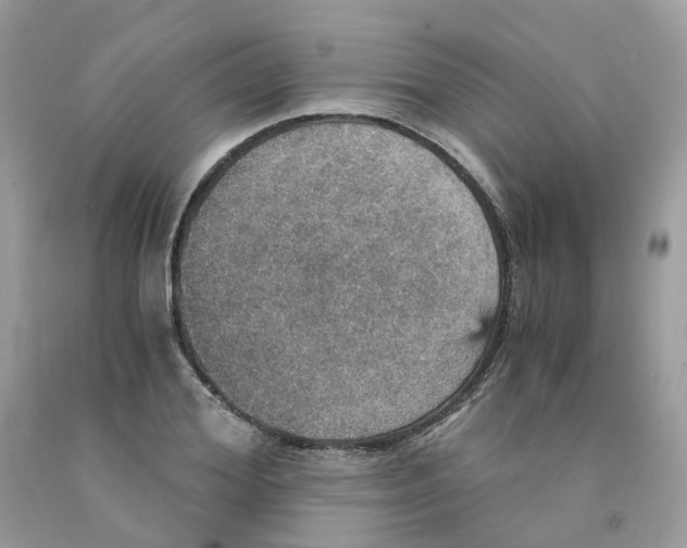 X0000091550980200709141512