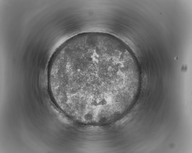 X0000091550982200709141512