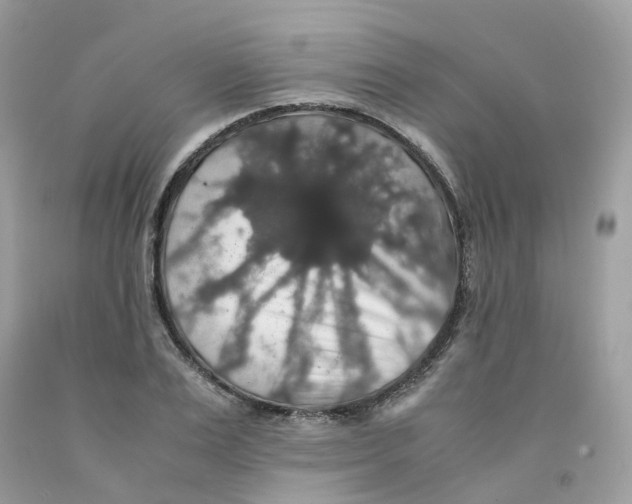 X0000091550983200709141512