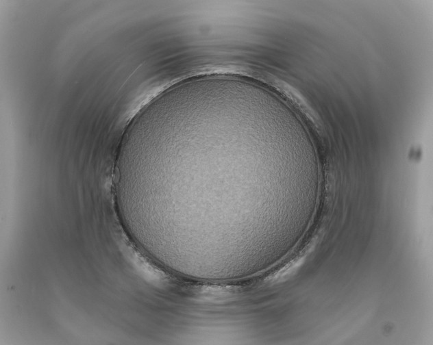 X0000091550985200709141512