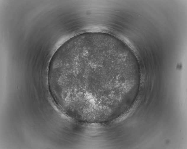 X0000091550986200709141512