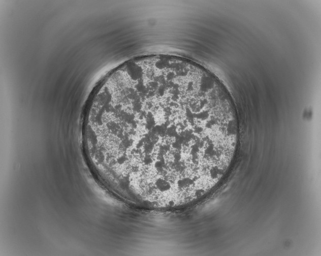 X0000091550987200709141512