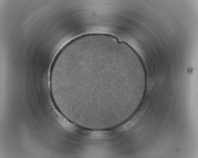 X0000091550988200709141512