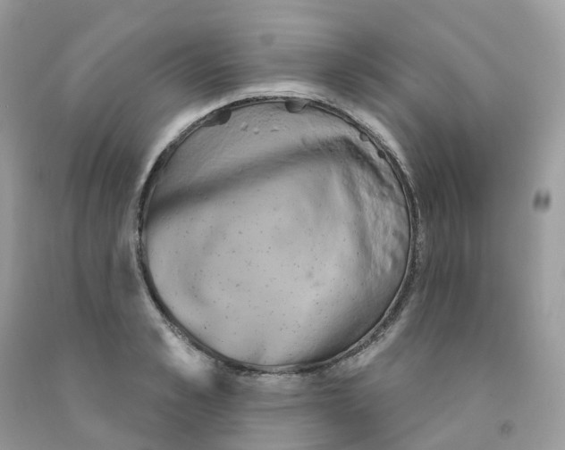 X0000091550989200709141512