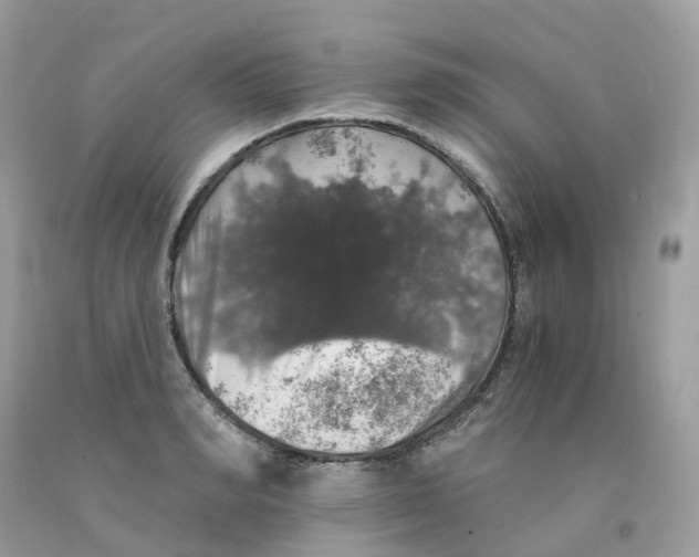 X0000091550990200709141512