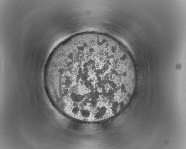 X0000091550991200709141512