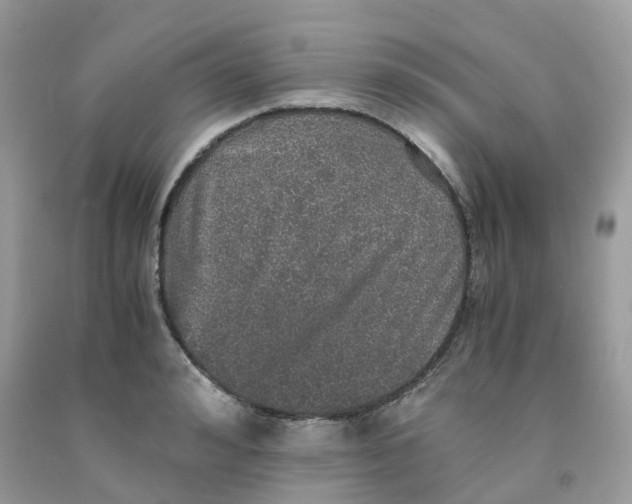 X0000091550992200709141512