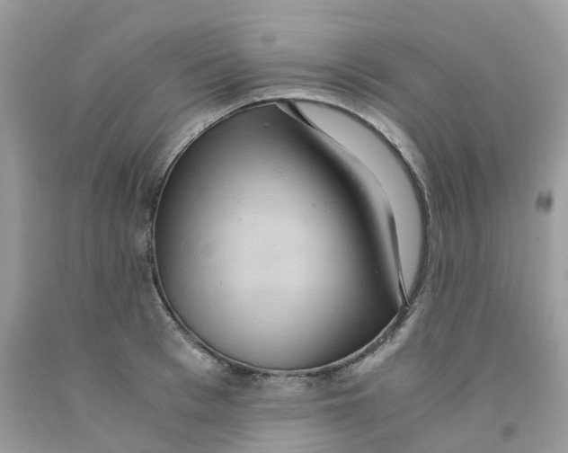 X0000091550993200709141512