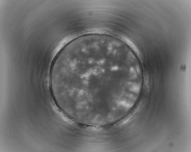 X0000091550994200709141512