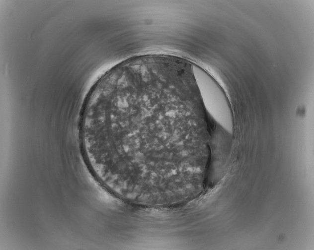 X0000091550995200709141512