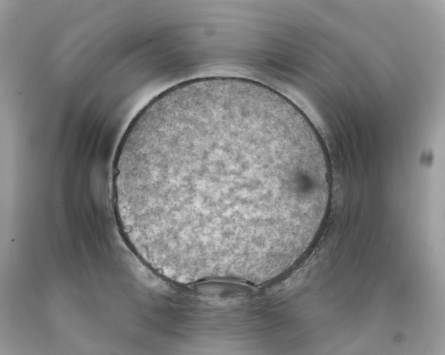 X0000091550996200709141512